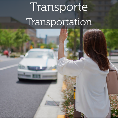 Transportes